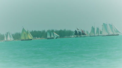 Schooner Wharf Wreckers Cup Race Series Results Febuary Race Photos