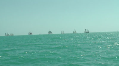 Schooner Wharf Wreckers Cup Race Series Results Febuary Race Photos the View