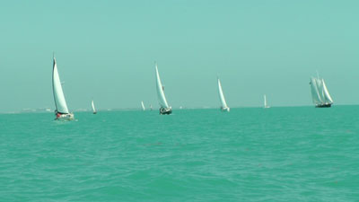 Schooner Wharf Wreckers Cup Race Series Results Febuary Race Photos