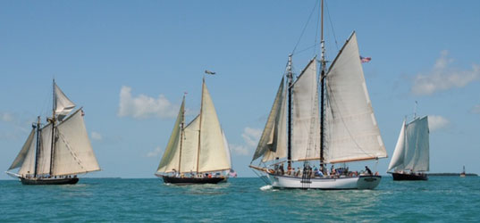 Schooner Wharf Wreckers Cup Race Series Results March Race Photos
